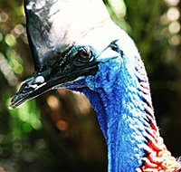 Alma Park Zoo - Tourism Gold Coast