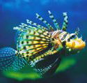 Underwater World - Tourism Gold Coast