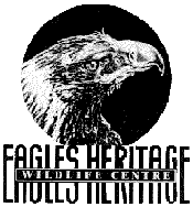 Eagles Heritage - Tourism Gold Coast