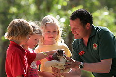 Cleland Wildlife Park - Tourism Gold Coast 0