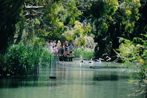 Cleland Wildlife Park - Tourism Gold Coast 1