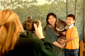 Cleland Wildlife Park - Tourism Gold Coast 2