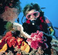 Gold Coast Seaway Dive Site - Tourism Gold Coast