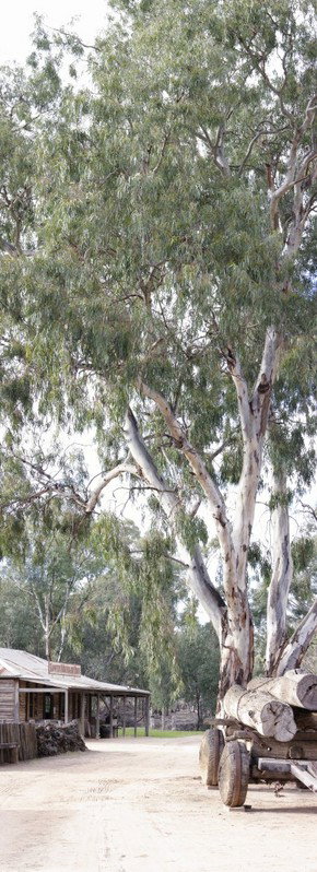 Pioneer Settlement - Tourism Gold Coast 1