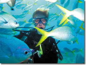 Maxi Ragamuffin - Gold Coast 3