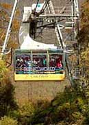 Scenic World Blue Mountains - Tourism Gold Coast 1