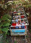 Scenic World Blue Mountains - Tourism Gold Coast 2