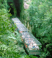 Scenic World Blue Mountains - Tourism Gold Coast 3
