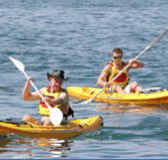 Manly Kayaks - Tourism Gold Coast