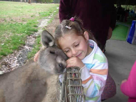 Gumbuya Park - Gold Coast 3