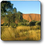 Glen Helen NT Tourism Gold Coast