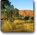Uluru - Kata Tjuta National Park - Tourism Gold Coast