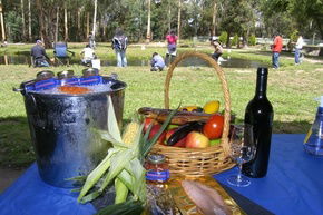 Buxton Trout And Salmon Farm - Tourism Gold Coast 2