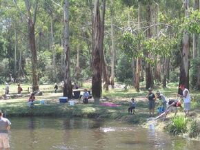 Buxton Trout And Salmon Farm - Tourism Gold Coast 3
