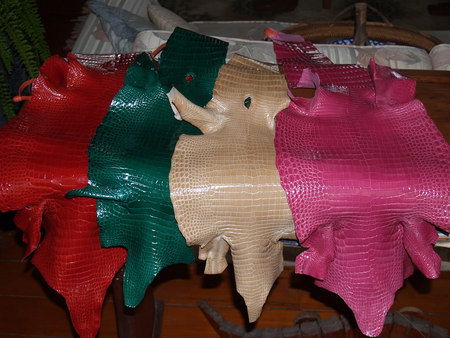 Koorana Saltwater Crocodile Farm - Tourism Gold Coast 2