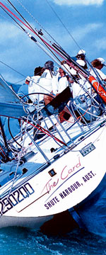 Koala Adventures - Gold Coast 1