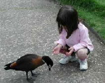 Urimbirra Wildlife Park - Tourism Gold Coast 3