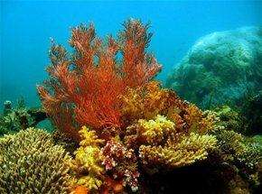 Exmouth WA Tourism Gold Coast