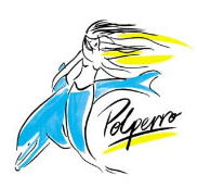 Polperro Dolphin Swims - Tourism Gold Coast