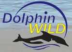 Dolphin Wild - Gold Coast 0