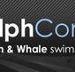 Dolphcom - Dolphin  Whale Swimming Adventures - Tourism Gold Coast