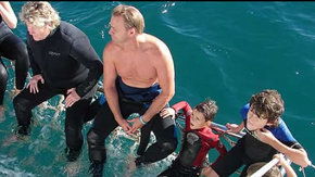 Dolphcom - Dolphin & Whale Swimming Adventures - Tourism Gold Coast 2