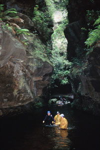 High And Wild Mountain Adventures - Tourism Gold Coast 1