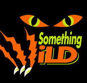 Something Wild - Tourism Gold Coast