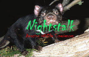 Something Wild - Tourism Gold Coast 1