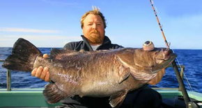Bravo Fishing Charters - Tourism Gold Coast 0