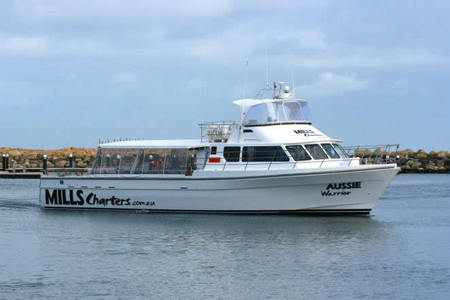 Mills Charters Fishing And Whale Watch Cruises - Tourism Gold Coast 1