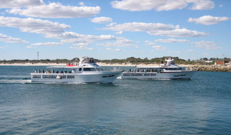Mills Charters Fishing And Whale Watch Cruises - Tourism Gold Coast 2