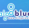 Ningaloo Blue Dive - Tourism Gold Coast