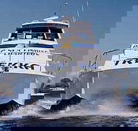 Sunshine Coast Fishing Charters - Gold Coast