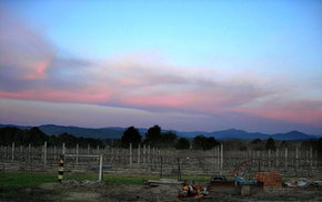 Buller View Wines - Tourism Gold Coast 1