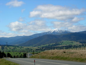 Buller View Wines - Tourism Gold Coast 2