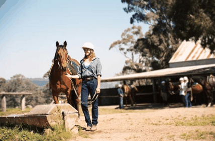 Watsons Trail Rides - Tourism Gold Coast 0
