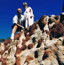 Mystery Craters - Tourism Gold Coast 2