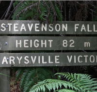 Stevensons Falls - Tourism Gold Coast