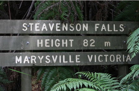 Stevensons Falls - Tourism Gold Coast 0