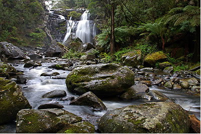 Stevensons Falls - Tourism Gold Coast 2