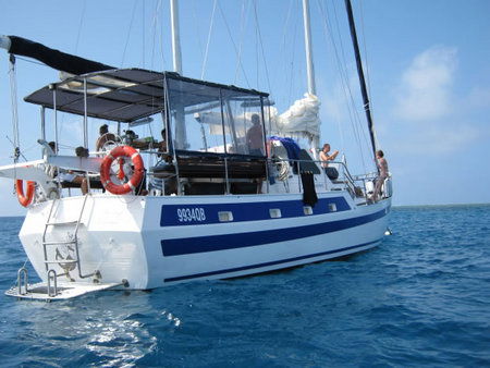 Coral Sea Dreaming Dive And Sail - Tourism Gold Coast 3