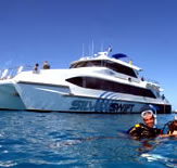 Silver Swift - Tourism Gold Coast