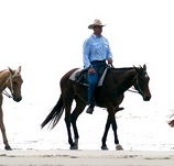 Ride the Beach - Tourism Gold Coast