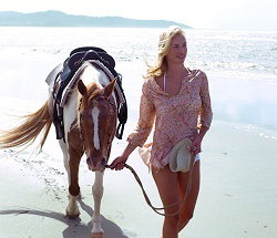 Ride The Beach - Tourism Gold Coast 3