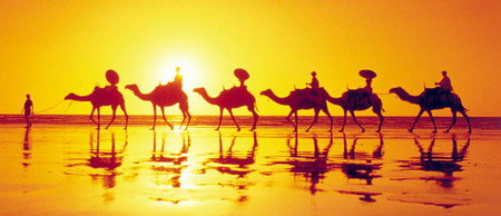 Banksia Adventures - Tourism Gold Coast 1