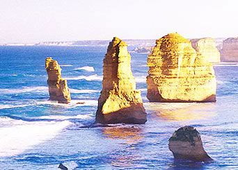 Bunyip Tours - Gold Coast 3