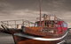 Oriental Queen Cruises - thumb 0