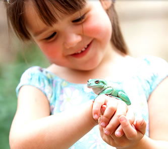 Reptile Encounters - Gold Coast 1