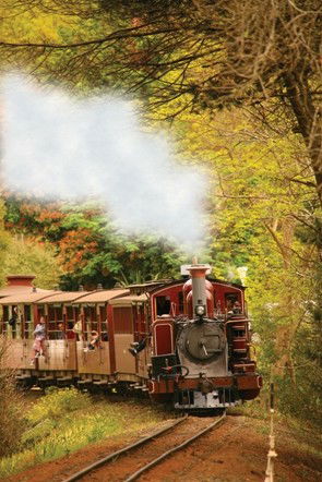 Puffing Billy - Tourism Gold Coast 5